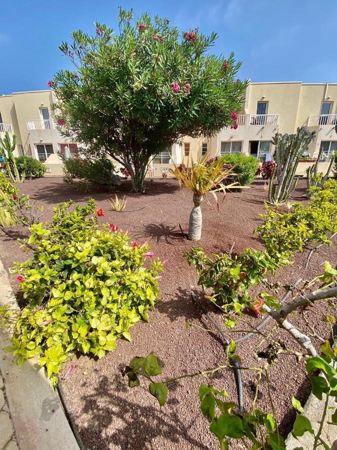 Casa Alexia Villa Caleta De Fuste Dış mekan fotoğraf